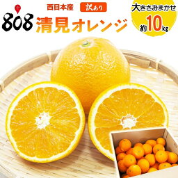 【送料無料】【西日本産】訳あり　清見オレンジ　大きさおまかせ　約<strong>10kg</strong>(北海道沖縄別途送料加算)