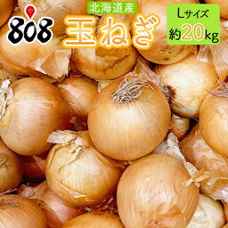 【送料無料】【北海道産】<strong>玉ねぎ</strong>　Lサイズ　約<strong>20kg</strong>(北海道沖縄別途送料加算)