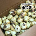 【兵庫県淡路島産】淡路特選 玉ねぎ 玉ネ...