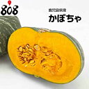 【鹿児島県産】南瓜 1カット 約700g【野菜詰め合わせセッ...