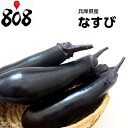 【西日本産】なすび 1パック 約300g【野菜詰め合わせセットと同梱で送料無料】【送料別】/敬老の日