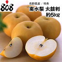 【送料無料】【あす楽】【長野県産】特秀 南水梨 太鼓判 約5...
