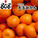 【送料無料】【西日本産】訳あり 大玉みか...
