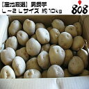 【送料無料】【あす楽】【産地厳選】男爵芋　L〜2Lサイズ 　1箱　約10kg(北海道沖縄別