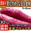 【徳島県産】訳あり なると金時 里むすめ 2S〜Sサイズ 約...