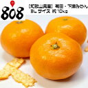 【送料無料】【和歌山県産】有田・下津みか...