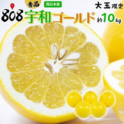 【送料無料】【愛媛県産】秀品　宇和ゴールド　大玉限定　約10kg(北海道沖縄別途送料加算)