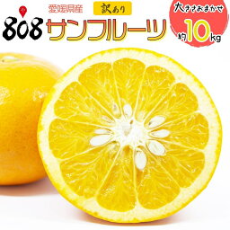 【送料無料】【愛媛県産】訳あり　サンフルーツ　大きさおまかせ　約10kg(北海道沖縄別途送料加算)