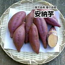 【鹿児島県 種子島産】あま〜い安納芋 約5kg【ちょっと訳あ...