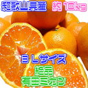 【和歌山県産】絶品 有田みかん 3Lサイズ 約10kg【箱売...