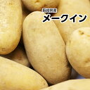 【長崎県産】新メークイン Lサイズ 約5kg【常温便送料無料...