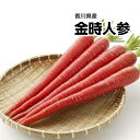 【香川県産】訳あり 金時人参約5kg【常温便送料無料】(北海...