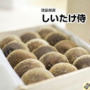 【徳島県産】無農薬椎茸 しいたけ侍 化粧箱 1箱15枚入【常...