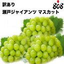 【クール便送料無料】【岡山県産】訳あり 瀬戸ジャイアンツ 約2kg (北海道沖縄別途送料加算) マスカット/種無し/ブドウ/訳有/訳あり/訳アリ/果物/フルーツ/ぶどう/スムージー/お中元/プレゼント/ギフト/贈答/熨斗/ラッピング可/残暑見舞い/暑中見舞い/敬老の日/新入荷/