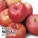 【産地厳選】訳あり トキりんご 津軽りんご 他 旬のりんご 色 大きさおまかせ 約8kg【常温便送料...
