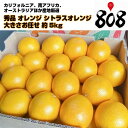【送料無料】【カリフォルニア・南アフリカ・オーストラリア他】秀品 オレンジ シトラスオレンジ 大きさお任せ 約5kg(北海道沖縄別途送料加算)樹上完熟/蜜柑/果物/フルーツ/デザート/高品質/おうち時間/スムージー/旬の果物/巣ごもり消費/ダイエット/健康/自炊/食品ロス
