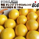 【送料無料】【カリフォルニア・南アフリカ・オーストラリア他】秀品 オレンジ シトラスオレンジ 大きさお任せ 約15kg(北海道沖縄別途送料加算)完熟/蜜柑/果物/フルーツ/デザート/高品質/おうち時間/レシピ/料理/献立/旬の果物/巣ごもり/ダイエット/健康/自炊/食品ロス