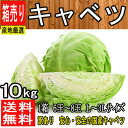 【産地厳選】国産 低農薬 大玉キャベツ 1箱 L〜3Lサイズ...