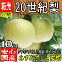 【産地厳選】鳥取県産 20世紀梨 二十世紀梨 約10kg サイズ不揃い 訳有り 大玉【常温便送料無料】【クール便推奨商品】】(北海道・沖縄県のお客様は送料別途1000円)ナシ/なし/梨/二十世紀梨【西日本産 無農薬・低農薬・特別栽培農産物】