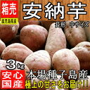 【予約販売:9月中旬以降順次発送】【鹿児島県 種子島産】あま...