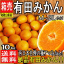 【和歌山県産】絶品 有田みかん M~2Lサイズ 約10kg【...