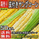 【徳島県産】無農薬 皮付きヤングコーン 1箱50本入/とうもろこし/コーン【クール便別途500円】【常温便送料無料】(北海道・沖縄県のお客様は送料1000円)【西日本産 無農薬・低農薬・特別栽培農産物】