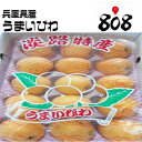 【送料無料】【兵庫県淡路島産】無農薬 うまいびわ 大きさおま...