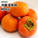 あす楽【福岡県産】冷蔵 富有柿 真空パッ...
