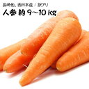 【西日本産】訳あり 人参 大きさおまかせ 約9〜10kg【常温便送料無料】(北海道沖縄別