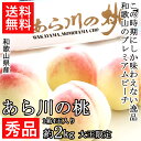 【和歌山県産】ブランド果実 あら川の桃 ...