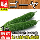 【大分県、沖縄県、他西日本産】ゴーヤ にがうり【クール便推奨商品】【野菜詰め合わせセットと同梱で送料無料】【西日本産 無農薬・低農薬・特別栽培農産物】