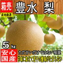 【産地厳選】果汁豊富でジューシー 訳あり 豊水梨 約5kg ...