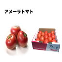 【静岡県/長野県産】とってもあま〜い 高糖度 アメーラトマト 12玉前後 1箱 約1kg【常