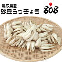 【送料無料】【鳥取県産】砂丘らっきょう 根付らっきょう 地理的表示保護制度登録商