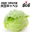 【西日本産】訳あり 採れたて大玉キャベツ L〜3Lサイズ 約...