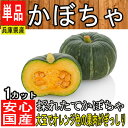 【鹿児島県産】南瓜/かぼちゃ/パンプキン/カット/カボチャ【野菜詰め合わ