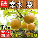 【産地厳選】山口県産 幸水梨 約10kg 大きさお