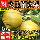 緊急スポット商品【長野県産】大玉南水梨 約5kg 訳あり【常...