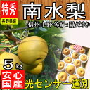 特秀【長野県産】南水梨 陽だまり 約5kg 光センサー選別で...