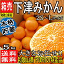 【和歌山県産】本格貯蔵 下津みかん 2S...