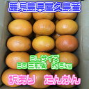 【鹿児島県産】訳あり たんかん 大きさおまかせ 約約4〜5kg【常温便送料無料】(北海道