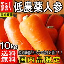 【産地厳選】訳あり大きさお任せ!!低農薬人参 約9〜10kg【常温便送料無料】(北海道沖