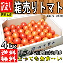 【熊本県 他西日本産】とってもあま〜い ...
