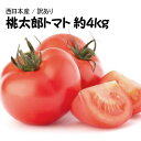 【西日本産】絶品 桃太郎 トマト 大きさおまかせ 訳あり 約...