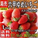 【兵庫県産】六甲ゆめいちご 大きさおまかせ 1箱 約250g...