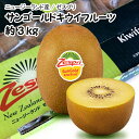 【予約商品】5月上旬発送予定【ニュージーランド産】ゼスプリ サンゴールドキウイフルーツ 約3kg【常温便送料無料】(北海道沖縄別途送料加算)キュウイ/キウイジュース/暑中見舞い/残暑見舞い/中元/ギフト/贈答/のし/ラッピング