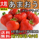 秀品【福岡県産】あまおう 苺 大粒 1箱 約270g×2パッ...