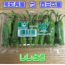 【高知県産】ししとう【野菜詰め合わせセットと同梱で送料無料】...
