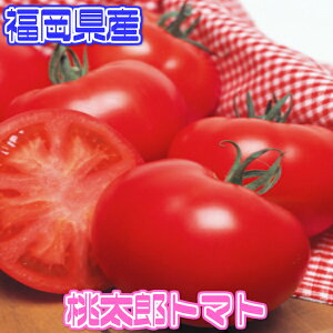 価格.com - トマト 人気ランキング