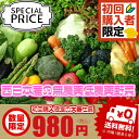 【西日本産 無農薬・低農薬・特別栽培農産物】【送料無料】初めてのお客様限定! 西日本産 お試し野菜詰め合わせセット 6品【1000円 送料無料 ポッキリ】再入荷 - 808青果店